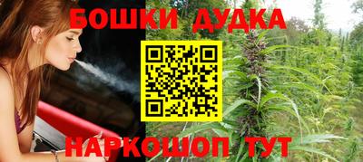 прущие крисы Будённовск