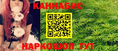 прущие крисы Будённовск
