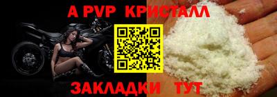 прущие крисы Будённовск