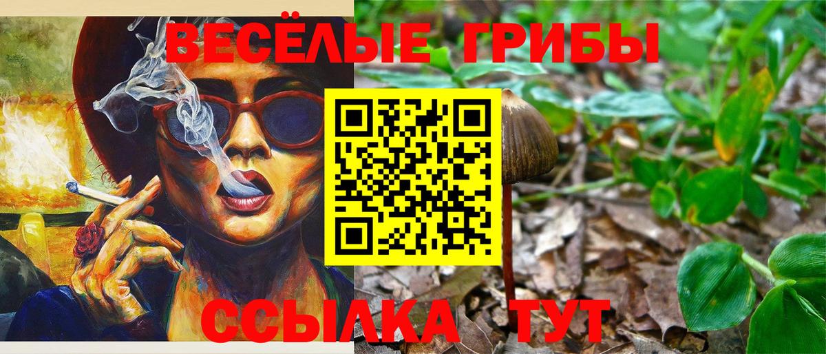 Псилоцибиновые грибы Cubensis Лесосибирск
