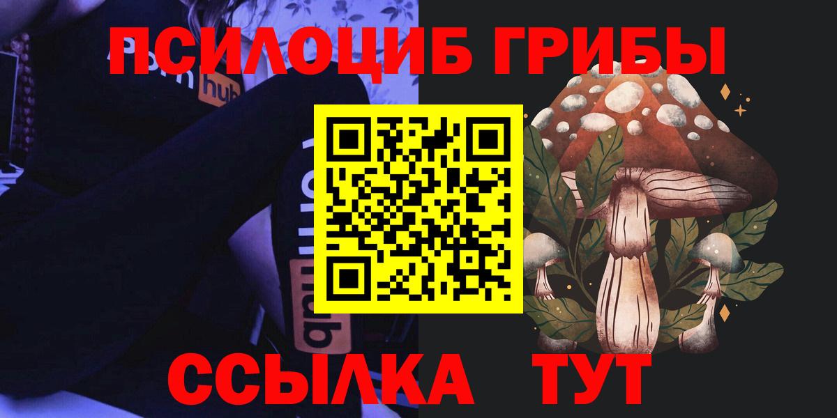хочу   Вход с VPN  Лесосибирск  Псилоцибиновые грибы Psilocybine cubensis 